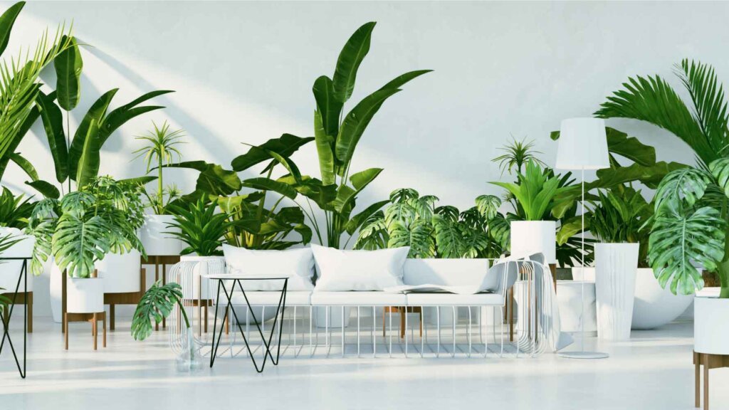 Home decor