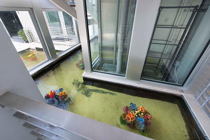 Lil' Wayne's Aquatic Abode