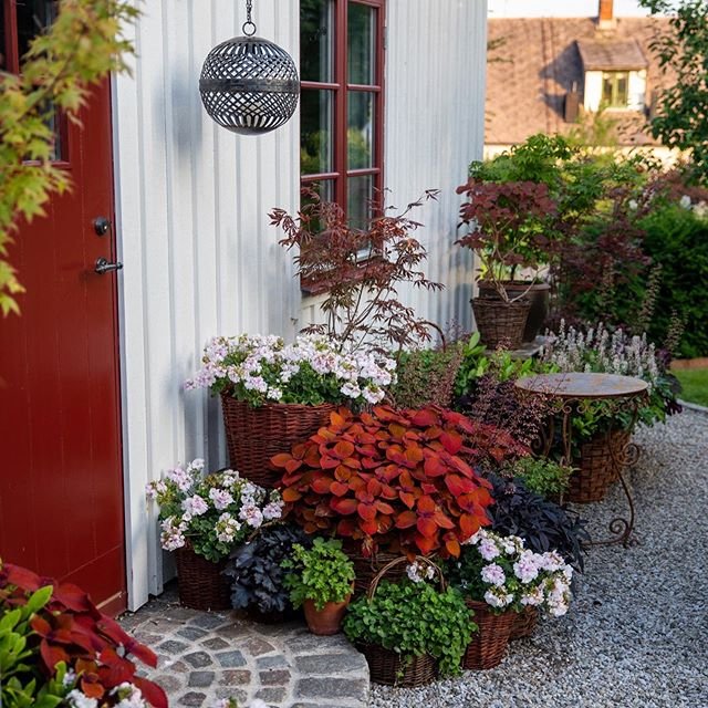 Small Garden Design Ideas