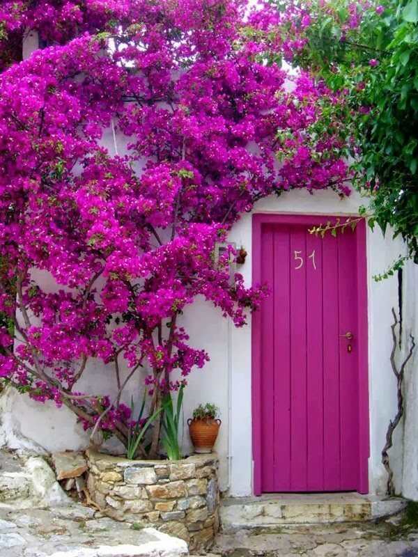 Front door design ideas