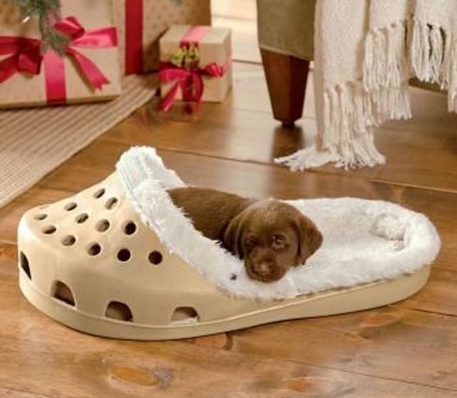 Pet Bed