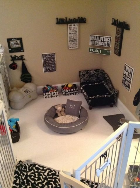 Pet Bed