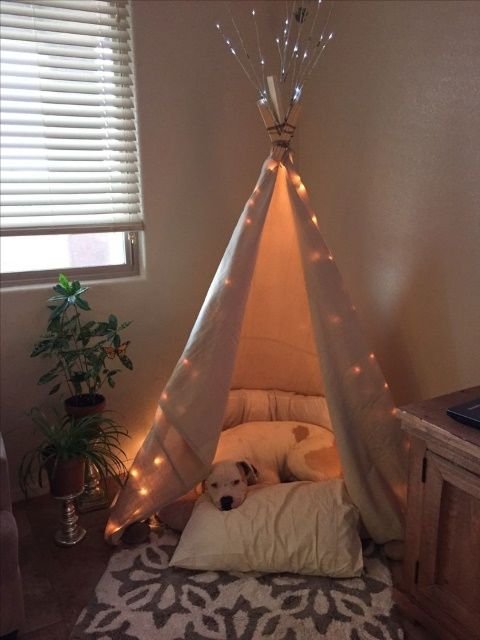 Pet Bed