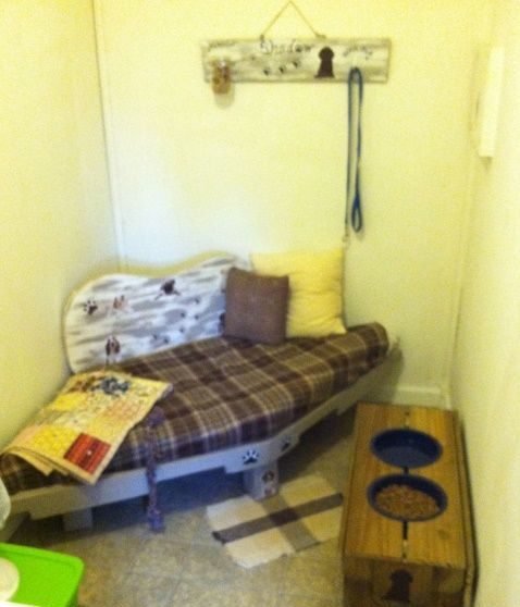 Pet Bed
