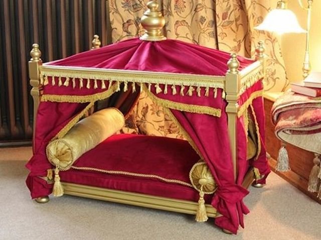 Pet Bed