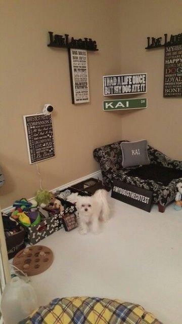 Pet Bed