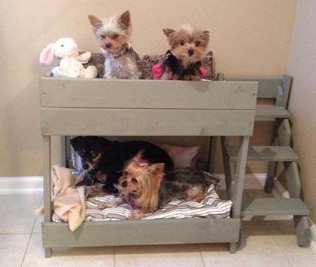 Pet Bed