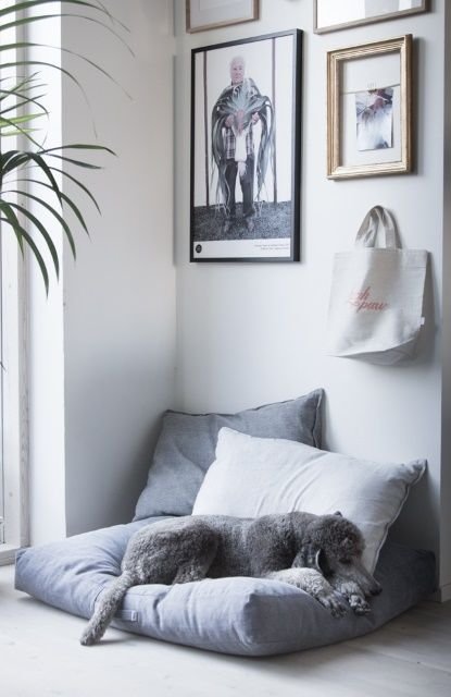 Pet Bed