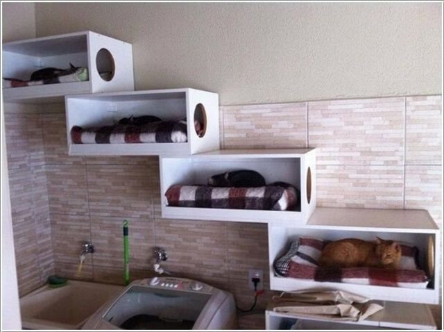 Pet Bed