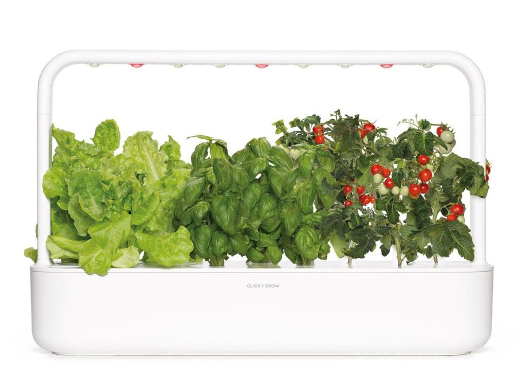 Click and Grow review Smart Gardening 9